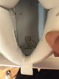 Air Jordan X Retro